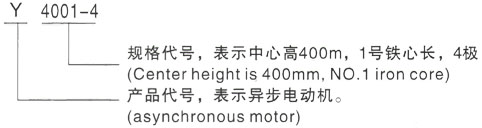 西安泰富西玛Y系列(H355-1000)高压虎丘三相异步电机型号说明